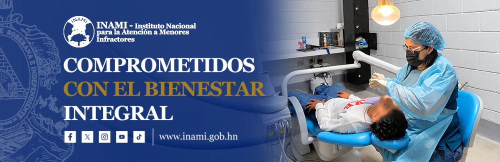 INAMI - Instituto Nacional para la Atención a Menores Infractores